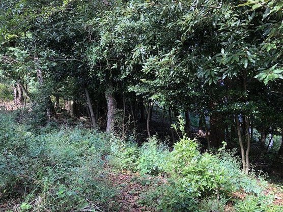 【外観】 | 宇佐美みのりの村　売地