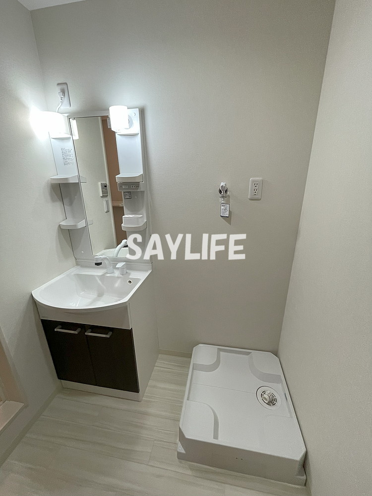 ハイツBluebellの洗面所