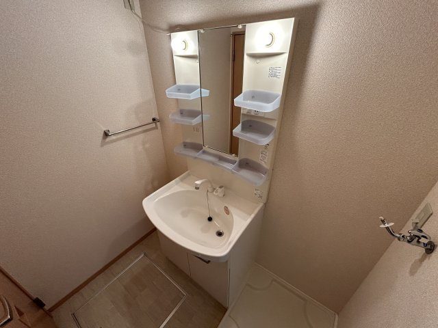 ラフィーネ林Ⅱの洗面所