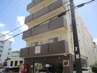 プランドールミオナの画像