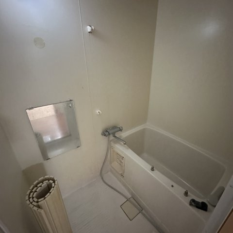 マンション城の浴室