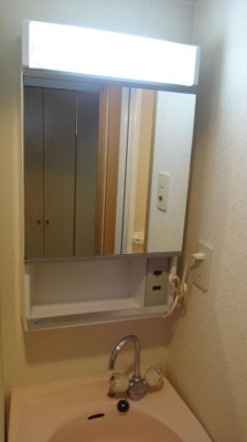 【洗面所】 | ダイナコートエスタディオ大濠公園 | 別号室の写真になります。現況優先。