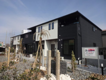 Ｃａｓａ　Ｌｉｎｏ　Ｂの画像