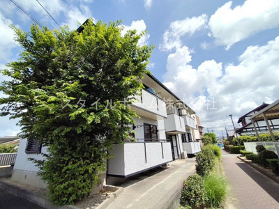 【展望】 | ハイカムール旭