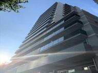 セレニティコート渋谷神泉の画像