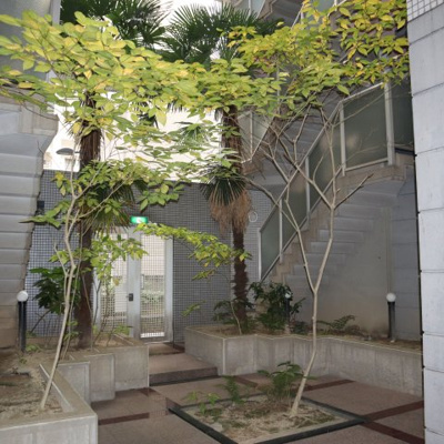 【エントランス】 | モントーレ天神