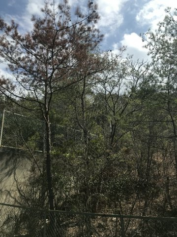 【加東市】売別荘地の外観