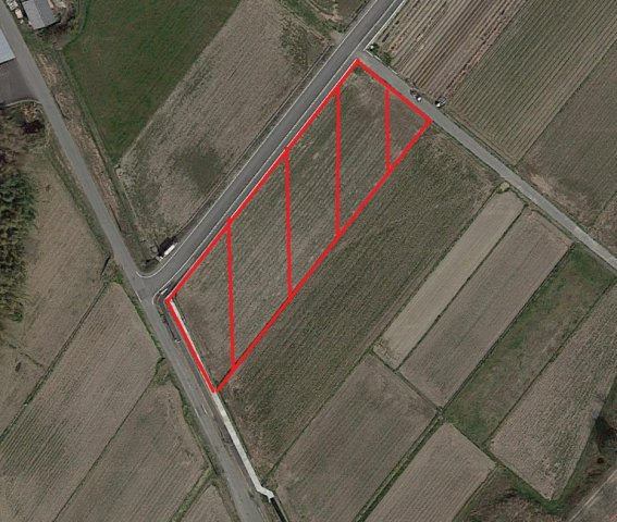 加西市中野町　農地の区画図