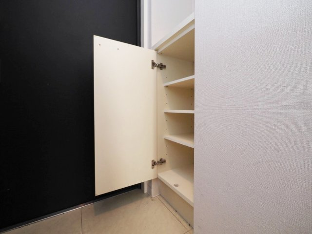 フロンティアテラス難波(旧:ルクレ難波)の収納