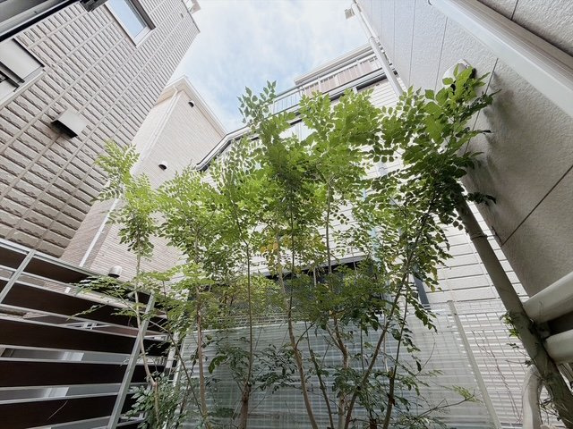 【展望】 | ランドプレックス桜新町