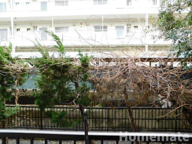 【展望】 | シュクレ大船