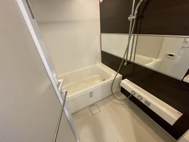 エスレジデンス淀屋橋の浴室