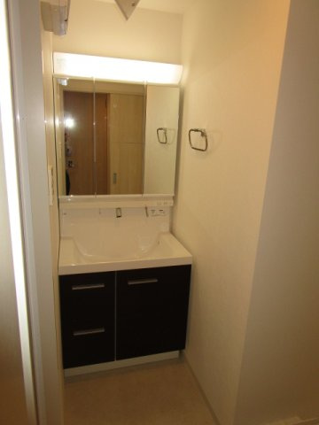 大阪市淀川区新北野１丁目の賃貸マンションの独立洗面台