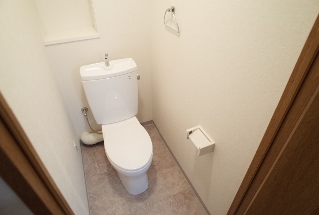 クレイントトヤミチのトイレ