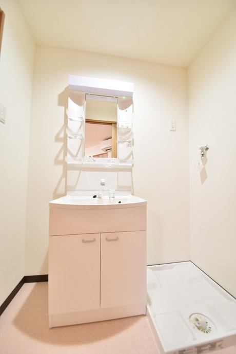 N東中央の洗面所