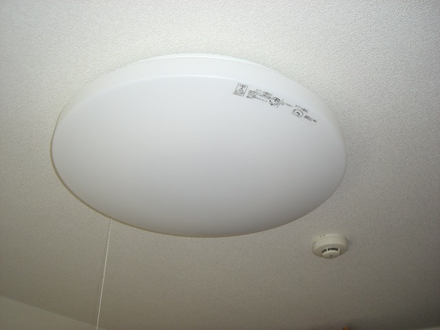 メゾン・ルミナスⅡのその他|照明器具