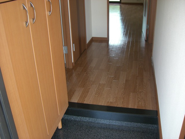 メゾン・ルミナスⅡの玄関|玄関