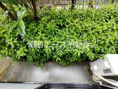 【バルコニー】 | レオパレスサンモールⅡ