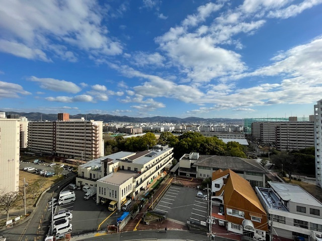 令和６年１月フルリノベーション済み☆１１階建の最上階南向き３LDK☆向島ニュータウン第３街区C棟の展望|眺望