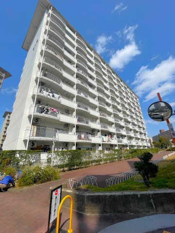 令和６年１月フルリノベーション済み☆１１階建の最上階南向き３LDK☆向島ニュータウン第３街区C棟の外観|マンション外観