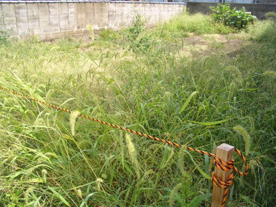 【周辺】 | 日新町売地