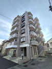 ソシア錦の画像