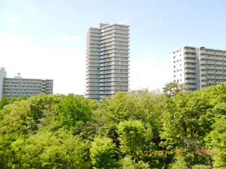【展望】