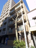 メゾン上野屋の画像