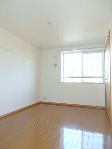 シェーン・バッハのその他