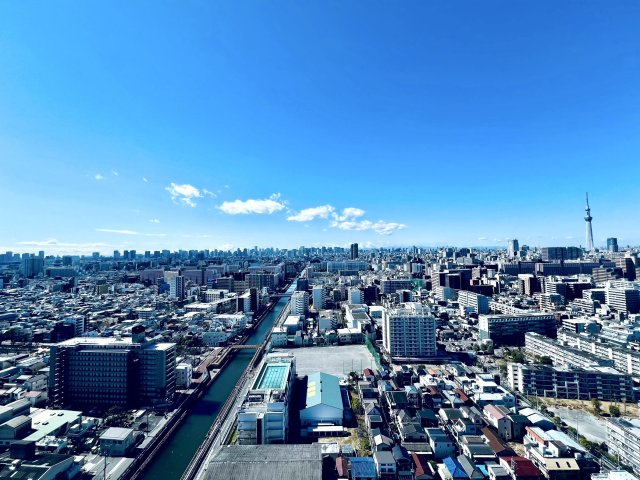 ライオンズタワー大島の展望|スカイツリービュー