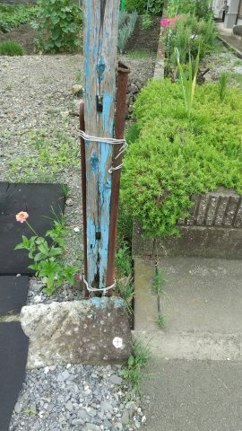 壬生大師町　土地の周辺