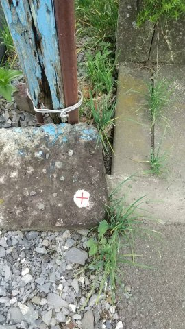 壬生大師町　土地の周辺