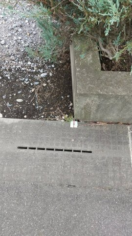 壬生大師町　土地の外観