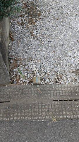 壬生大師町　土地の外観