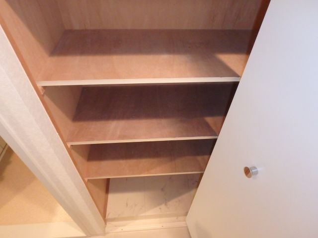 友井グレイスの収納