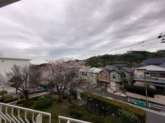 【展望】