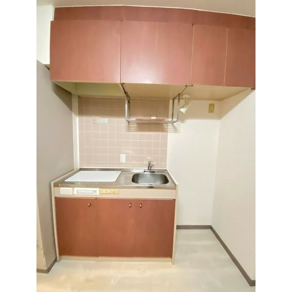 ジオ・グランデ・高井田のキッチン