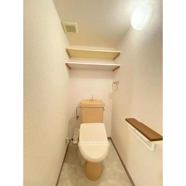 ジオ・グランデ・高井田のトイレ