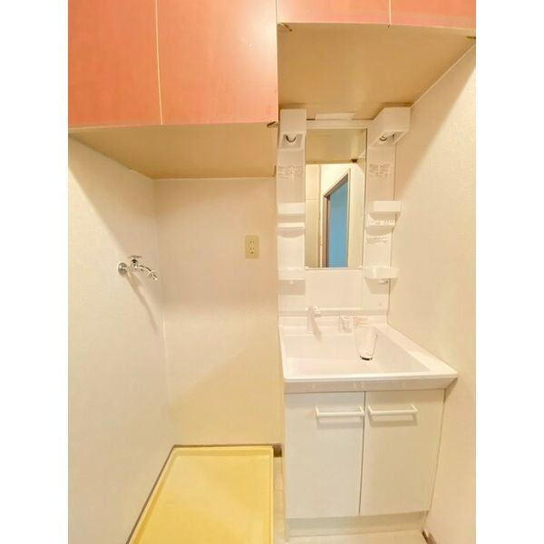 ジオ・グランデ・高井田の洗面所