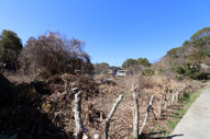 勢田383坪売地の画像