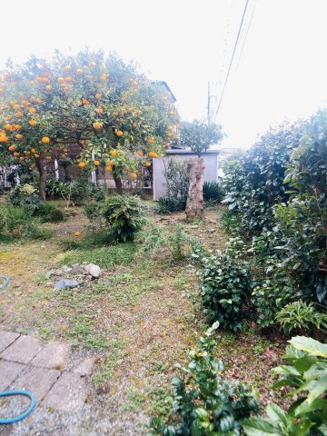 【その他】 | ○●足柄上郡開成町中之名 土地●○ | 【庭先部分の写真①】