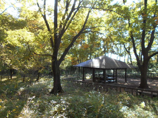 公園