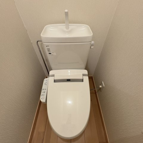 ジオグラフィのトイレ