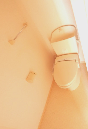 セジュールHAYATOのトイレ|落ち着いたトイレです