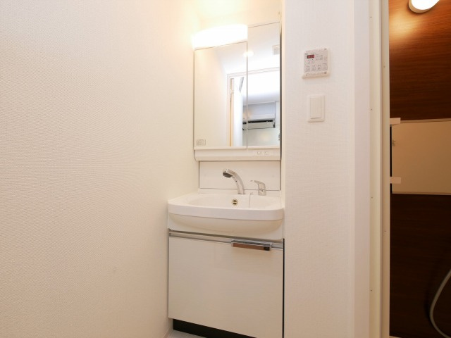 大阪市西区川口３丁目の賃貸マンションの洗面所