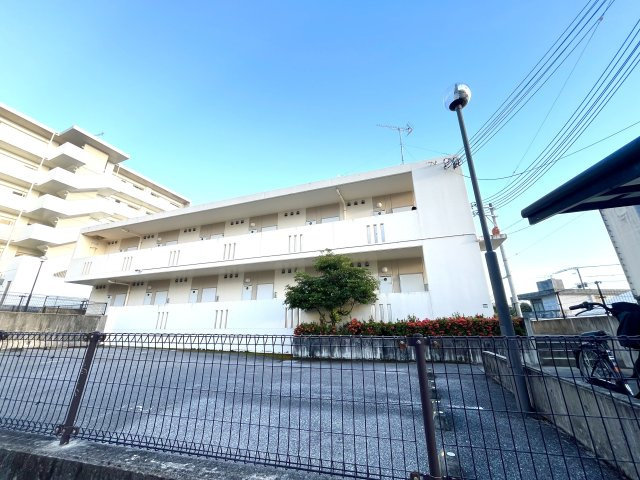 ＥＩＫＩの画像