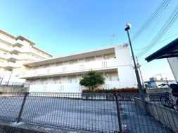 ＥＩＫＩの画像