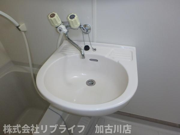 ココシャルムⅡの洗面所|別室参考