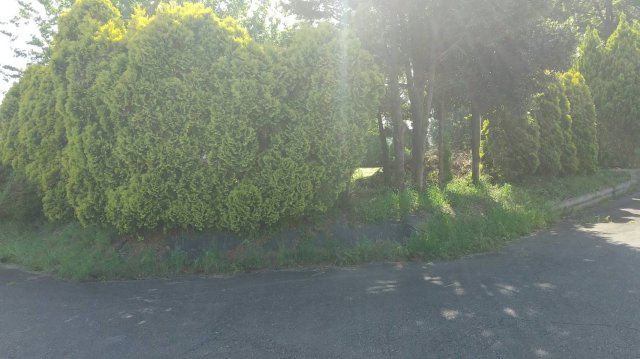 小山市中久喜　土地の外観