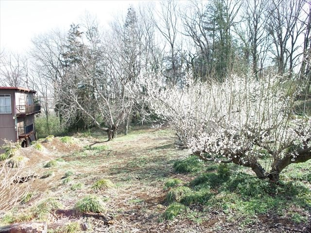 東松山市松山　土地1030坪の外観